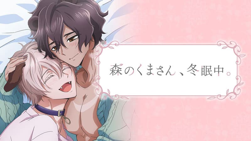 森のくまさん、冬眠中。