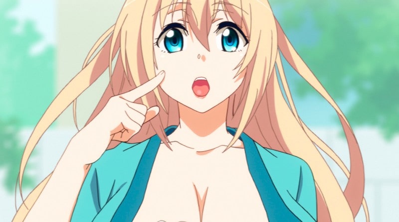 【エロアニメ】あねよめカルテット 上巻 キャリアウーマンな姉と引きこもりメイド姉