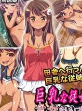 巨乳な従姉妹にムラムラして無知をいいコトに最後までヤっちゃった！The Motion Anime