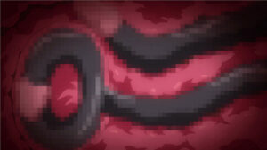 2d7ce54172d62a7a4dda4b8b6924024b