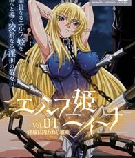 エルフ姫ニィーナ
