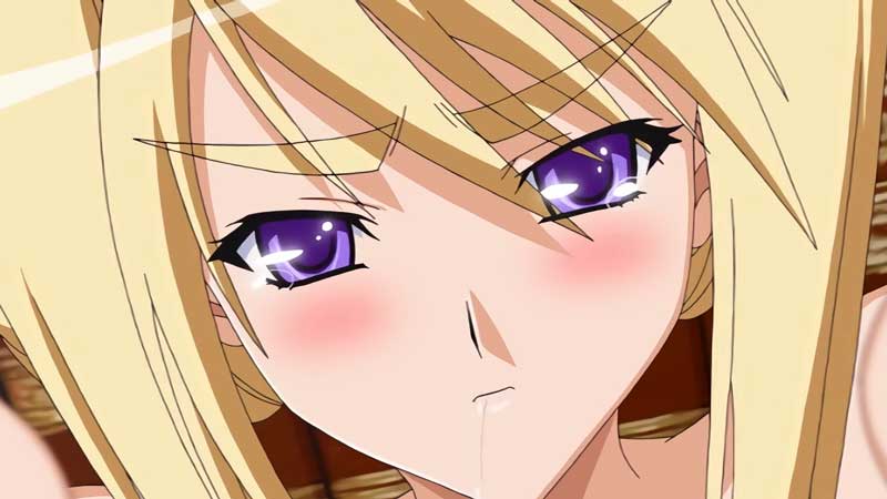 【エロアニメ】「今後寂しいなら私を抱けばいい！」恥さらしをどんどんむき出しにする貴族令嬢、親が勝手に決めた婚約者とはいえ、カラダを重ねるたびに愛が芽生える