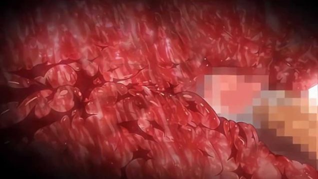 【エロアニメ】亀頭だけ挿入して浅く出し入れする焦らしプレイ！自分から腰振ふって気持ち良くなるのと、また指で弄られるのどっちがいいですか(笑)